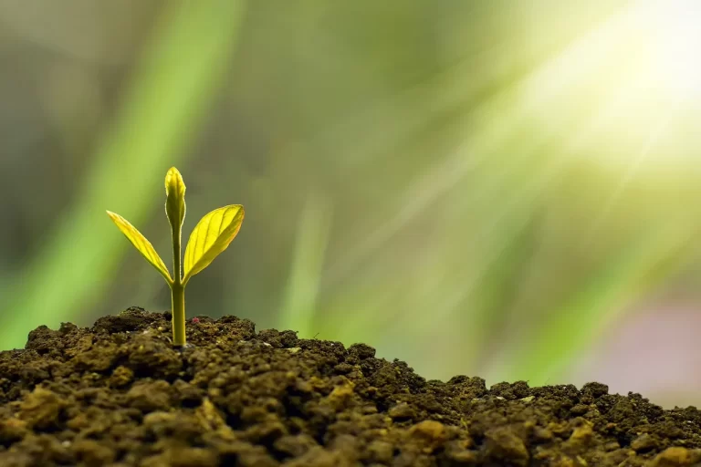 Go Green : हम भी बन सकते हैं मिशन ग्रीन ग्रोथ का हिस्सा, ला सकते हैं पर्यावरण में बदलाव