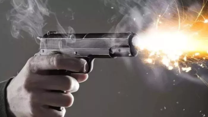 बदायूं भाई ने भाई की हत्या
