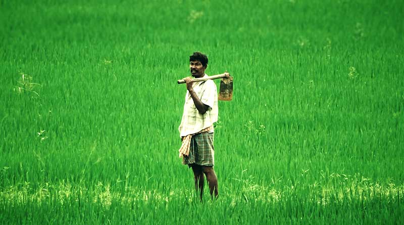झाँसी न्यूज़